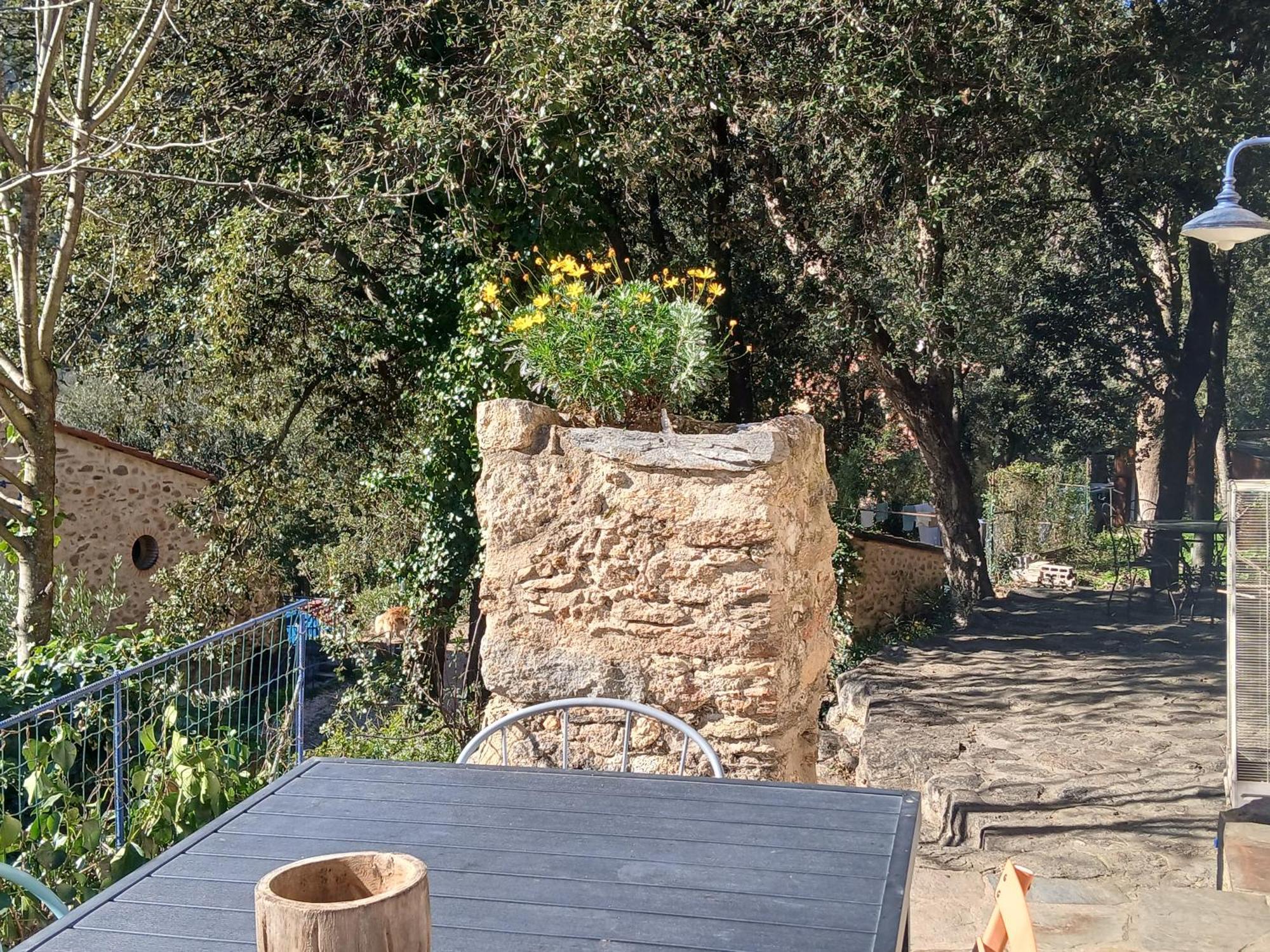 La Bergerie Villa Sorède Екстериор снимка