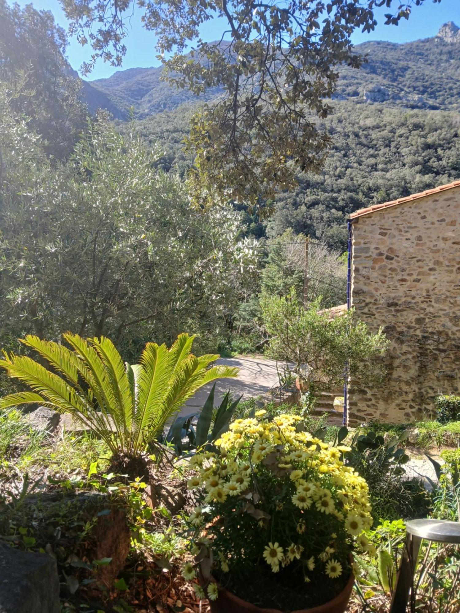 La Bergerie Villa Sorède Екстериор снимка