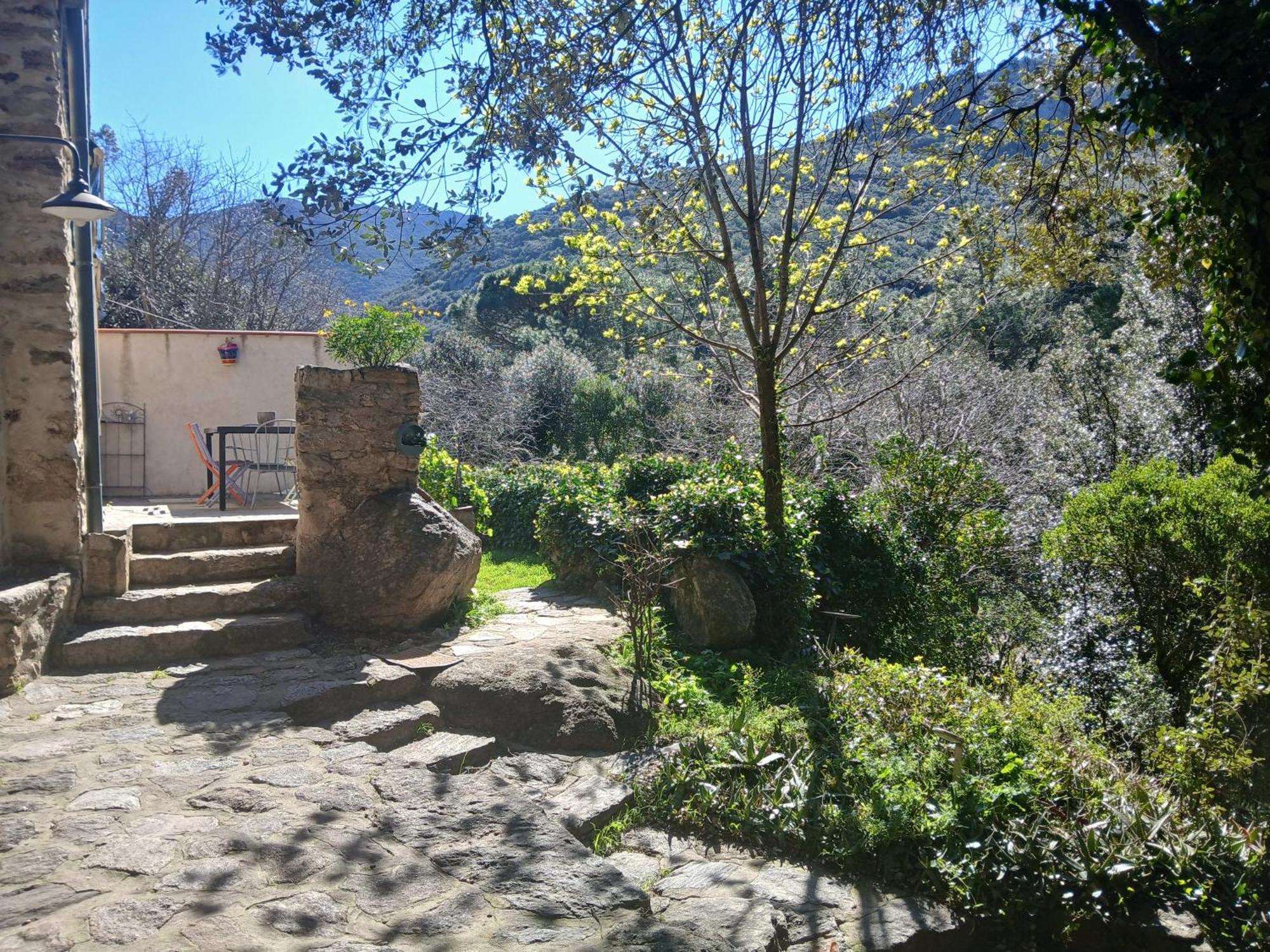 La Bergerie Villa Sorède Екстериор снимка